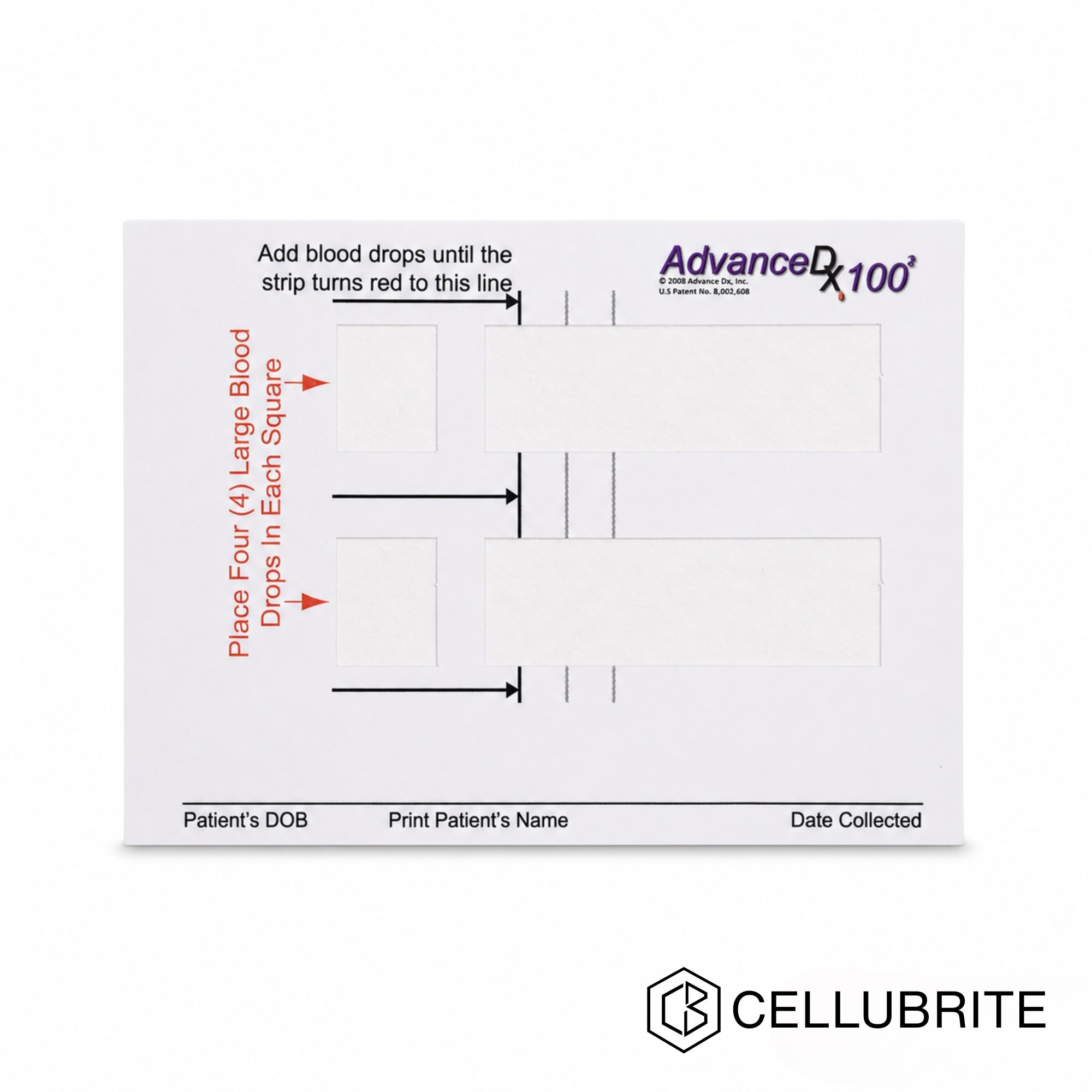 White blood collection card with two absorbent strips and printed fill lines